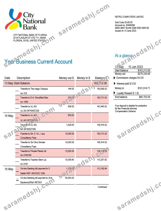 City National Bank of Florida firm account statement Word and PDF template